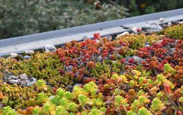 the cost of Holders Green green roof installation