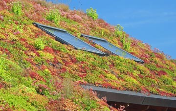 Holders Green living roof systems